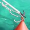 Kong Usa Mooring Hook With Spring S.S.mm.200 650201000KK - alternate 2